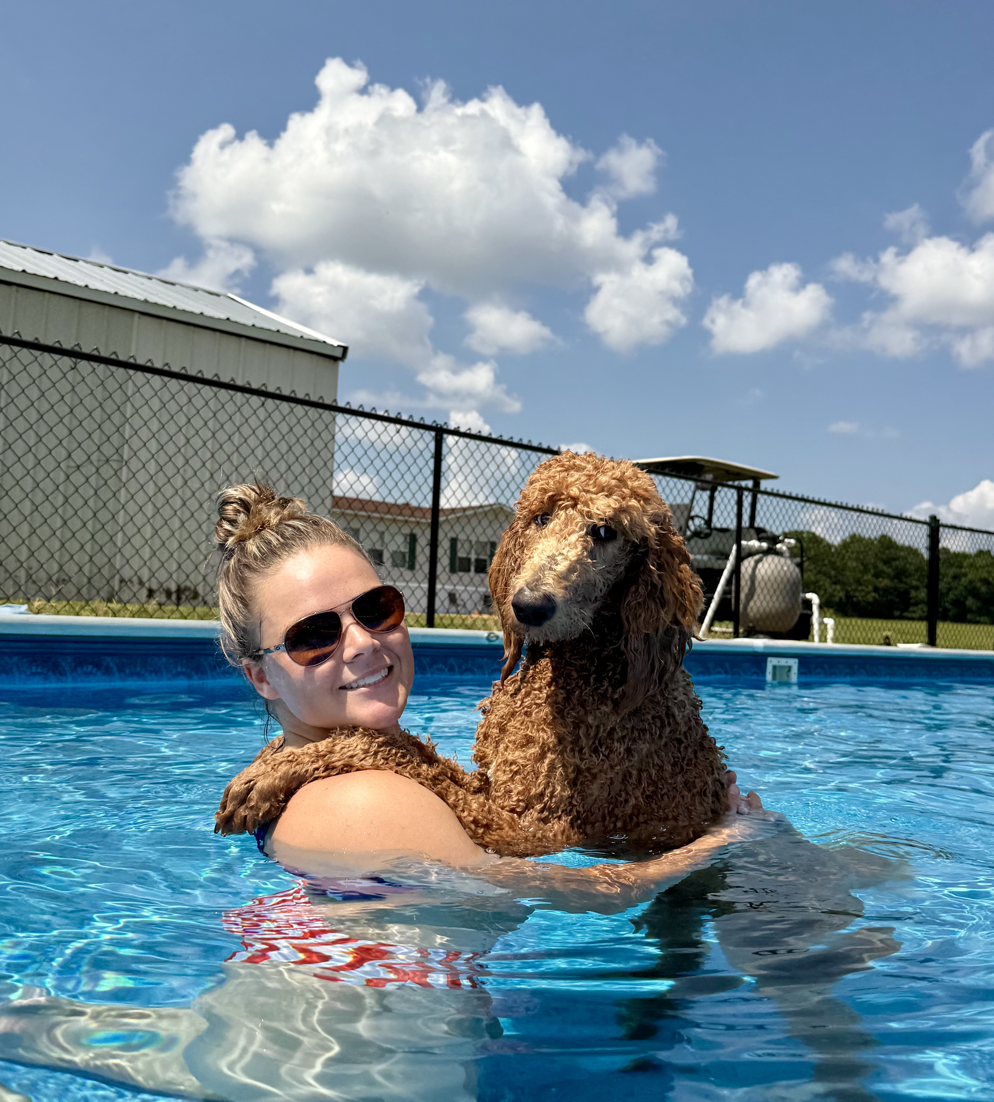 Charming Country Poodles