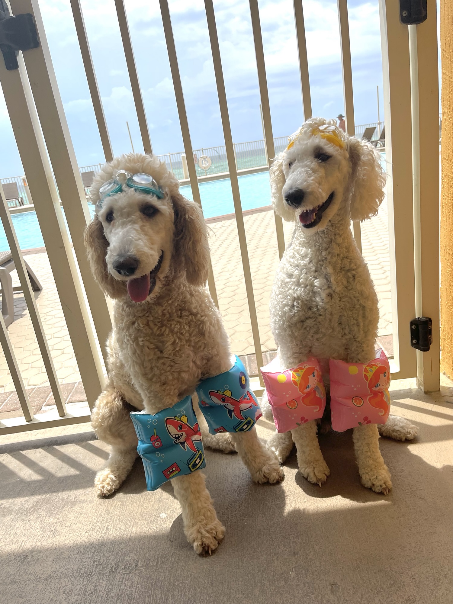 Meeka is on the Right